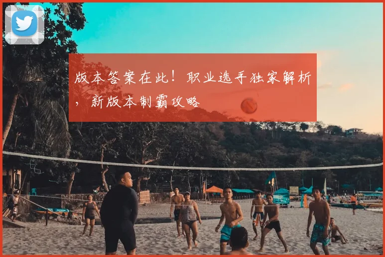 版本答案在此！职业选手独家解析，新版本制霸攻略