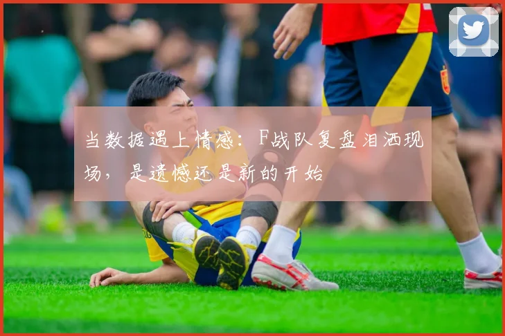 当数据遇上情感：F战队复盘泪洒现场，是遗憾还是新的开始